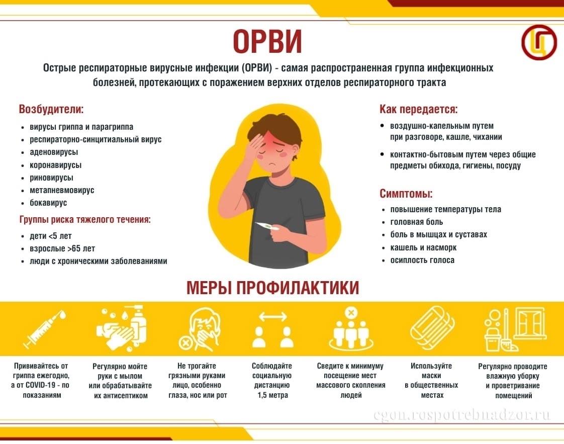 О гриппе и мерах его профилактики