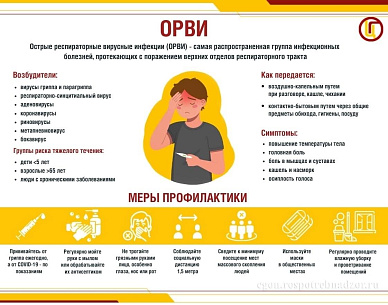 О гриппе и мерах его профилактики